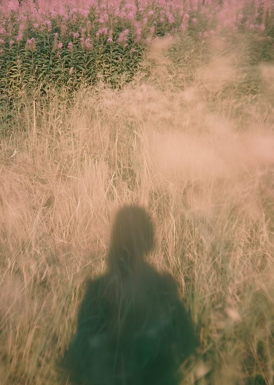 A figure in tall grass and wildflowers
